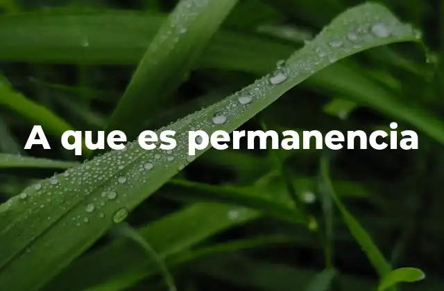 La importancia de la permanencia en la vida cotidiana