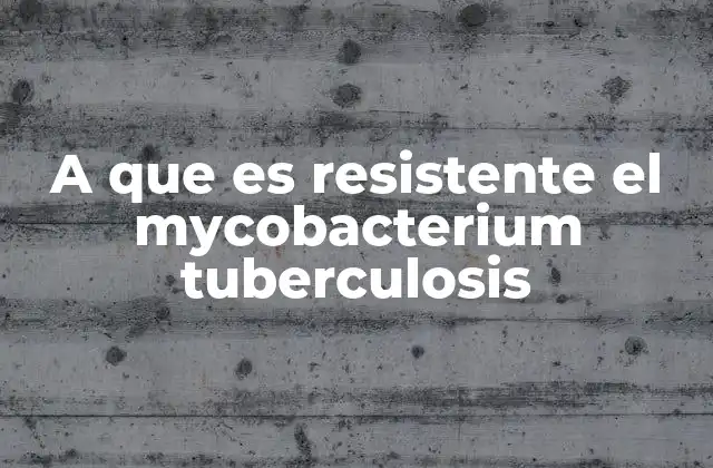 A que es Resistente el Mycobacterium Tuberculosis