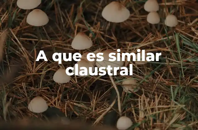 Espacios que evocan sensaciones similares a lo claustral