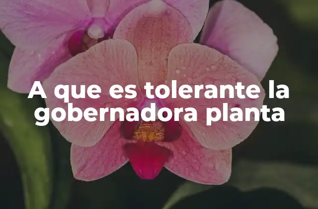 A que es Tolerante la Gobernadora Planta