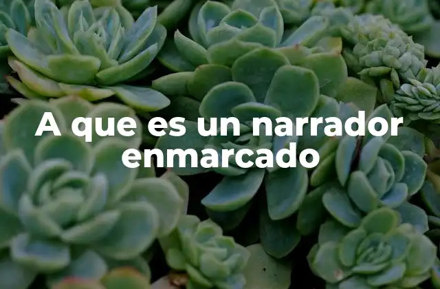 A que es un Narrador Enmarcado