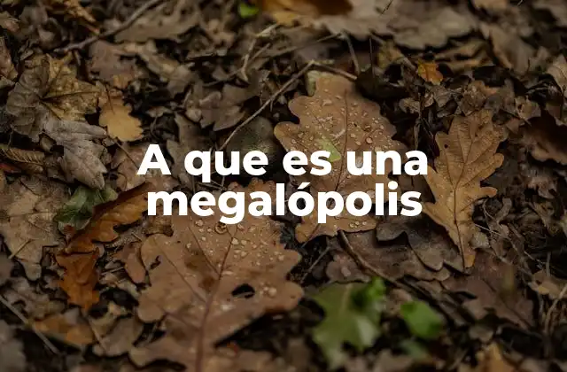 A que es una Megalópolis