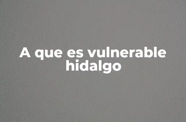A que es Vulnerable Hidalgo
