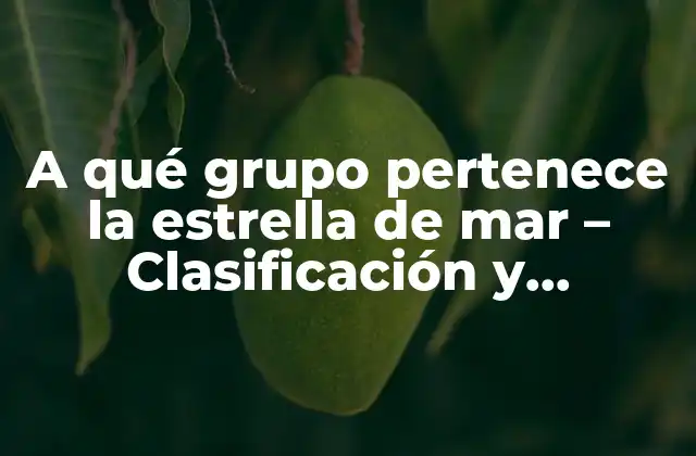 A Qué Grupo Pertenece la Estrella de Mar – Clasificación y Características