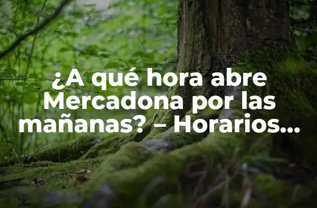 ¿a Qué Hora Abre Mercadona por las Mañanas? – Horarios de Apertura de Mercadona
