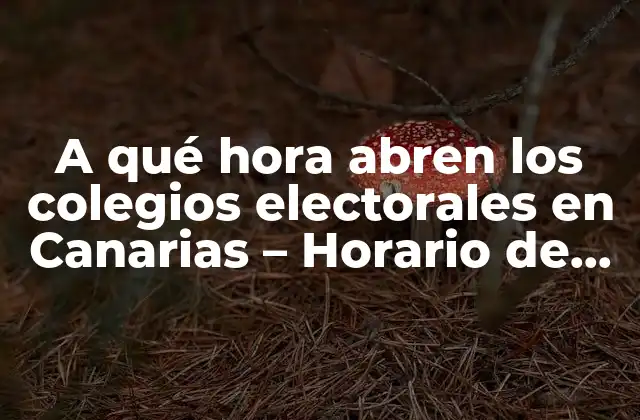 A Qué Hora Abren los Colegios Electorales en Canarias – Horario de Votación