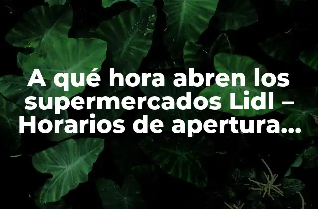 A Qué Hora Abren los Supermercados Lidl – Horarios de Apertura de Lidl