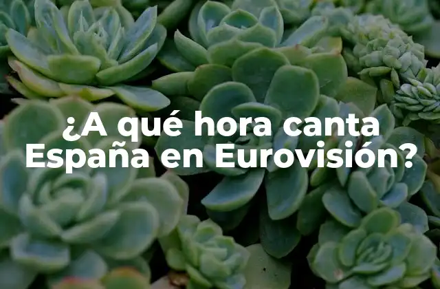 ¿a Qué Hora Canta España en Eurovisión?