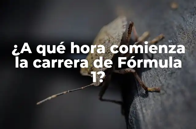 ¿a Qué Hora Comienza la Carrera de Fórmula 1?