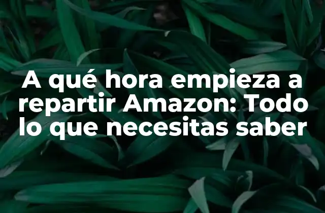 A Qué Hora Empieza a Repartir Amazon: Todo Lo que Necesitas Saber