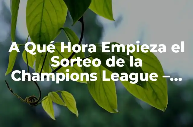A Qué Hora Empieza el Sorteo de la Champions League – Horario y Fecha de los Sorteos
