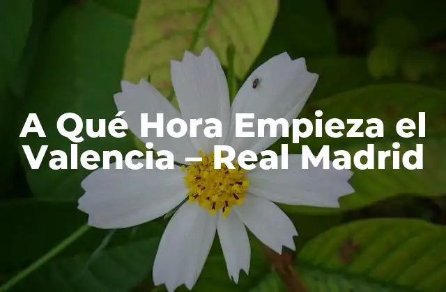 Historia del Partido - Valencia - Real Madrid