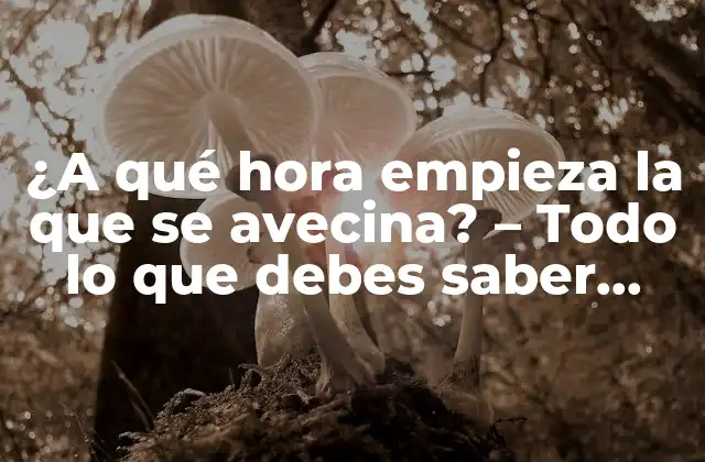 ¿a Qué Hora Empieza la que Se Avecina? – Todo Lo que Debes Saber sobre la Próxima Temporada