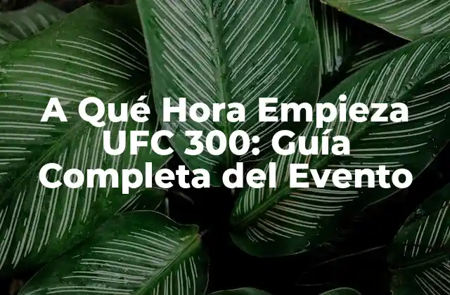 A Qué Hora Empieza Ufc 300: Guía Completa Del Evento 2 La Historia detrás de UFC 300