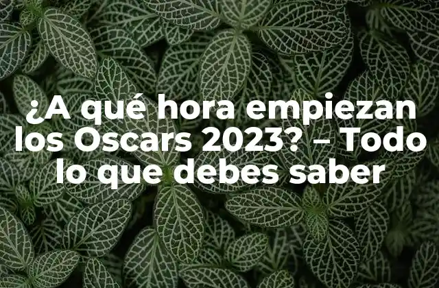 ¿a Qué Hora Empiezan los Oscars 2023? - Todo Lo que Debes Saber 2 Orígenes y evolución de los Premios de la Academia