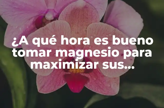 ¿a Qué Hora es Bueno Tomar Magnesio para Maximizar Sus Beneficios?