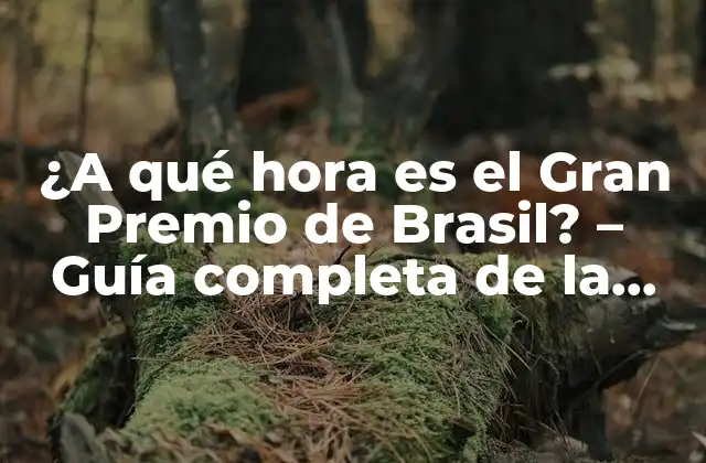 ¿Cuándo se celebra el Gran Premio de Brasil?