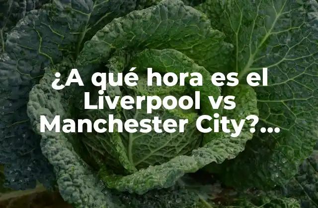 ¿a Qué Hora es el Liverpool Vs Manchester City? Partidos en Vivo y Resumen de la Premier League