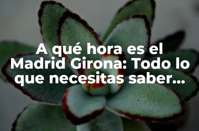 A Qué Hora es el Madrid Girona: Todo Lo que Necesitas Saber sobre el Partido 2 ¿Cuál es la fecha del partido entre el Real Madrid y el Girona?