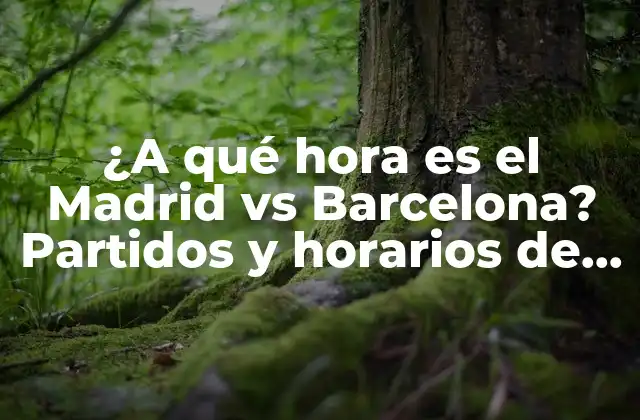 ¿a Qué Hora es el Madrid Vs Barcelona? Partidos y Horarios de la Liga