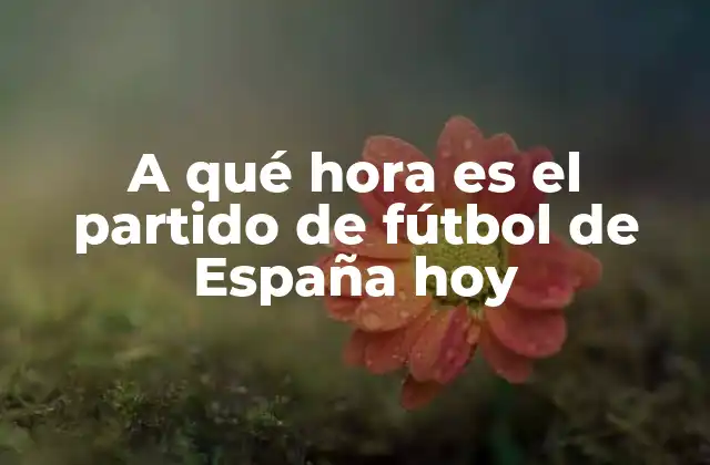 A Qué Hora es el Partido de Fútbol de España Hoy