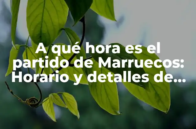 A Qué Hora es el Partido de Marruecos: Horario y Detalles de los Partidos de la Selección Marroquí