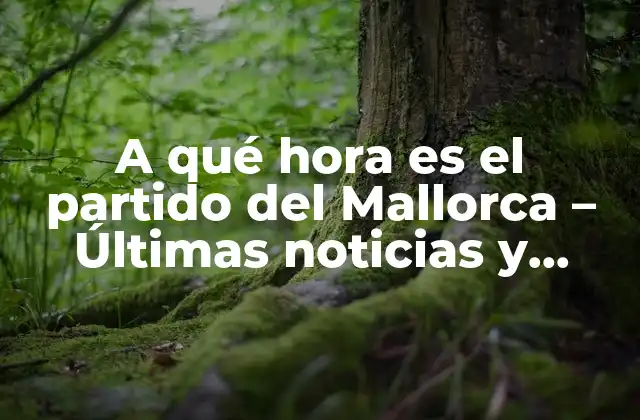 A Qué Hora es el Partido Del Mallorca – Últimas Noticias y Horarios de Fútbol