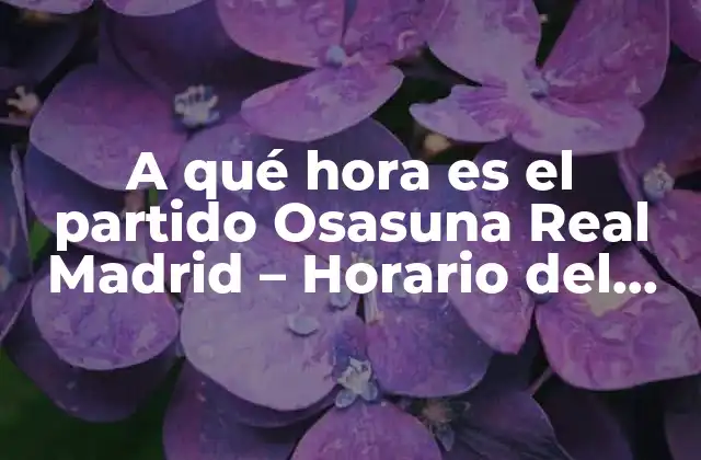 A Qué Hora es el Partido Osasuna Real Madrid – Horario Del Encuentro