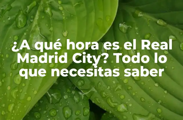 ¿a Qué Hora es el Real Madrid City? Todo Lo que Necesitas Saber