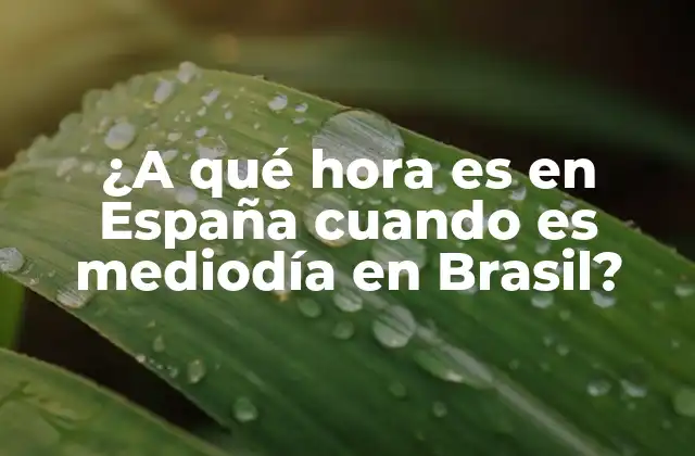¿a Qué Hora es en España Cuando es Mediodía en Brasil?