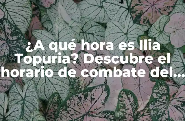 ¿a Qué Hora es Ilia Topuria? Descubre el Horario de Combate Del Luchador Georgiano