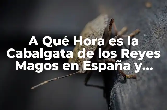 A Qué Hora es la Cabalgata de los Reyes Magos en España y Latinoamérica