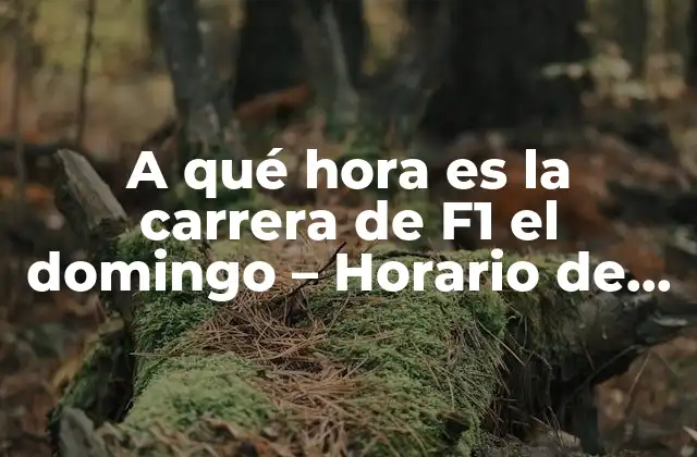 A Qué Hora es la Carrera de F1 el Domingo – Horario de la Fórmula 1