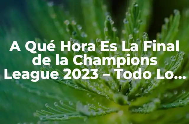 A Qué Hora es la Final de la Champions League 2023 – Todo Lo que Necesitas Saber