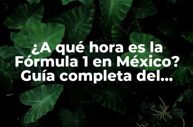 ¿a Qué Hora es la Fórmula 1 en México? Guía Completa Del Horario de la F1 en México