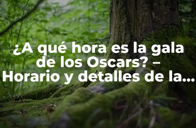¿a Qué Hora es la Gala de los Oscars? – Horario y Detalles de la Ceremonia