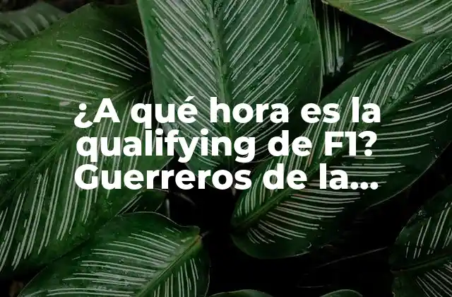 ¿a Qué Hora es la Qualifying de F1? Guerreros de la Velocidad Listos para la Pista
