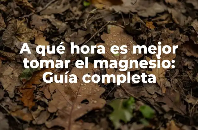 A Qué Hora es Mejor Tomar el Magnesio: Guía Completa