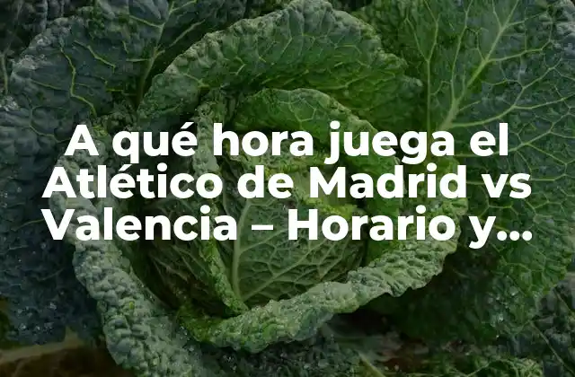 A Qué Hora Juega el Atlético de Madrid Vs Valencia – Horario y Fecha Del Partido