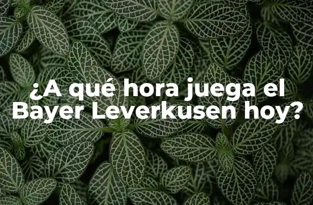 ¿a Qué Hora Juega el Bayer Leverkusen Hoy?