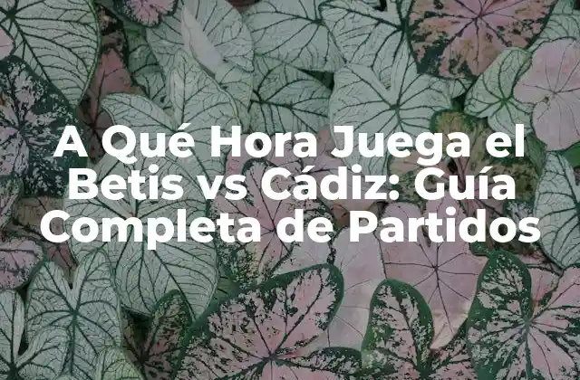 A Qué Hora Juega el Betis Vs Cádiz: Guía Completa de Partidos 2 El Contexto Histórico de los Partidos entre Betis y Cádiz