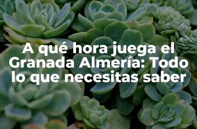 A Qué Hora Juega el Granada Almería: Todo Lo que Necesitas Saber 2 Historia de los partidos entre el Granada y el Almería