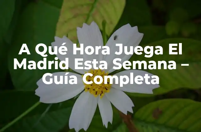 A Qué Hora Juega el Madrid Esta Semana – Guía Completa
