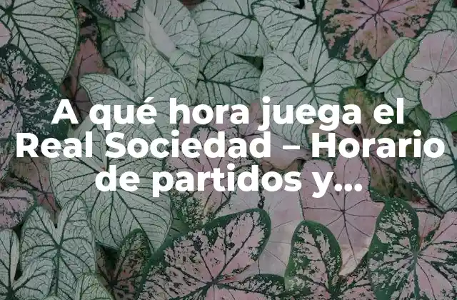 A Qué Hora Juega el Real Sociedad – Horario de Partidos y Programación