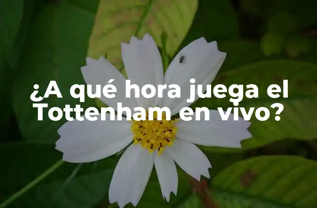 Horarios de inicio de los partidos del Tottenham