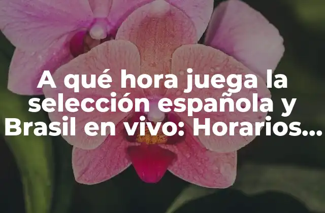 A Qué Hora Juega la Selección Española y Brasil en Vivo: Horarios y Partidos