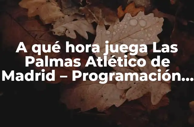 A Qué Hora Juega las Palmas Atlético de Madrid – Programación y Partidos