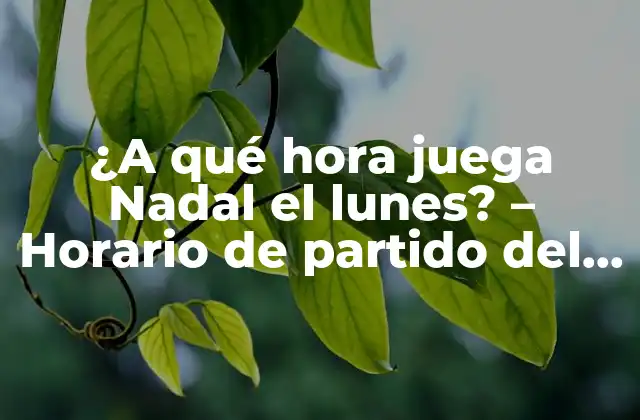¿a Qué Hora Juega Nadal el Lunes? – Horario de Partido Del Tenista Español