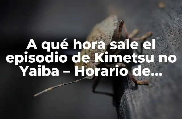 A Qué Hora Sale el Episodio de Kimetsu No Yaiba – Horario de Emisión y Guía