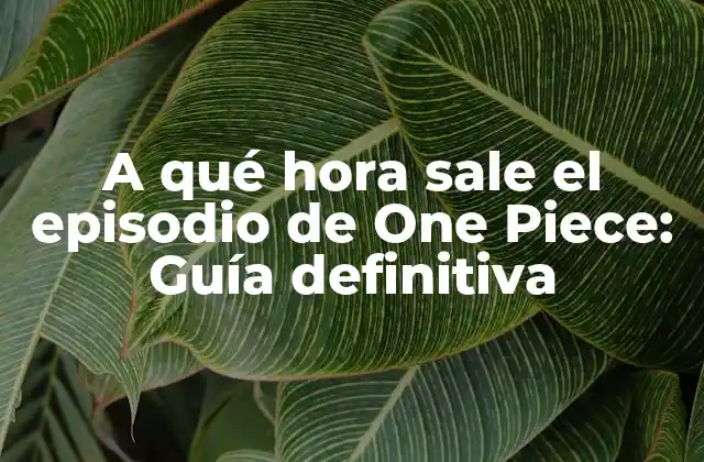 A Qué Hora Sale el Episodio de One Piece: Guía Definitiva